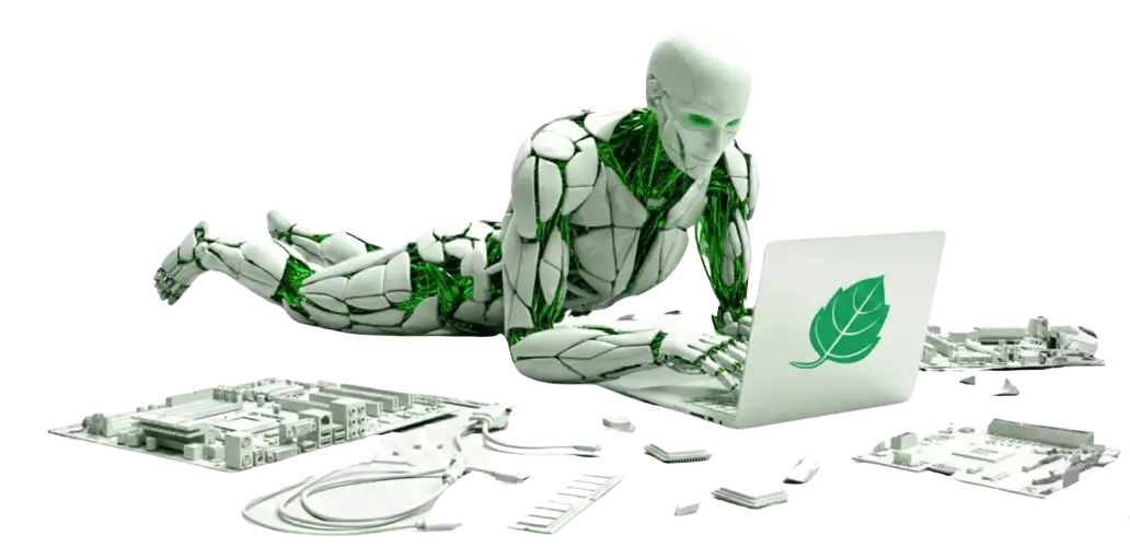 Leaf-IT-Solutions
