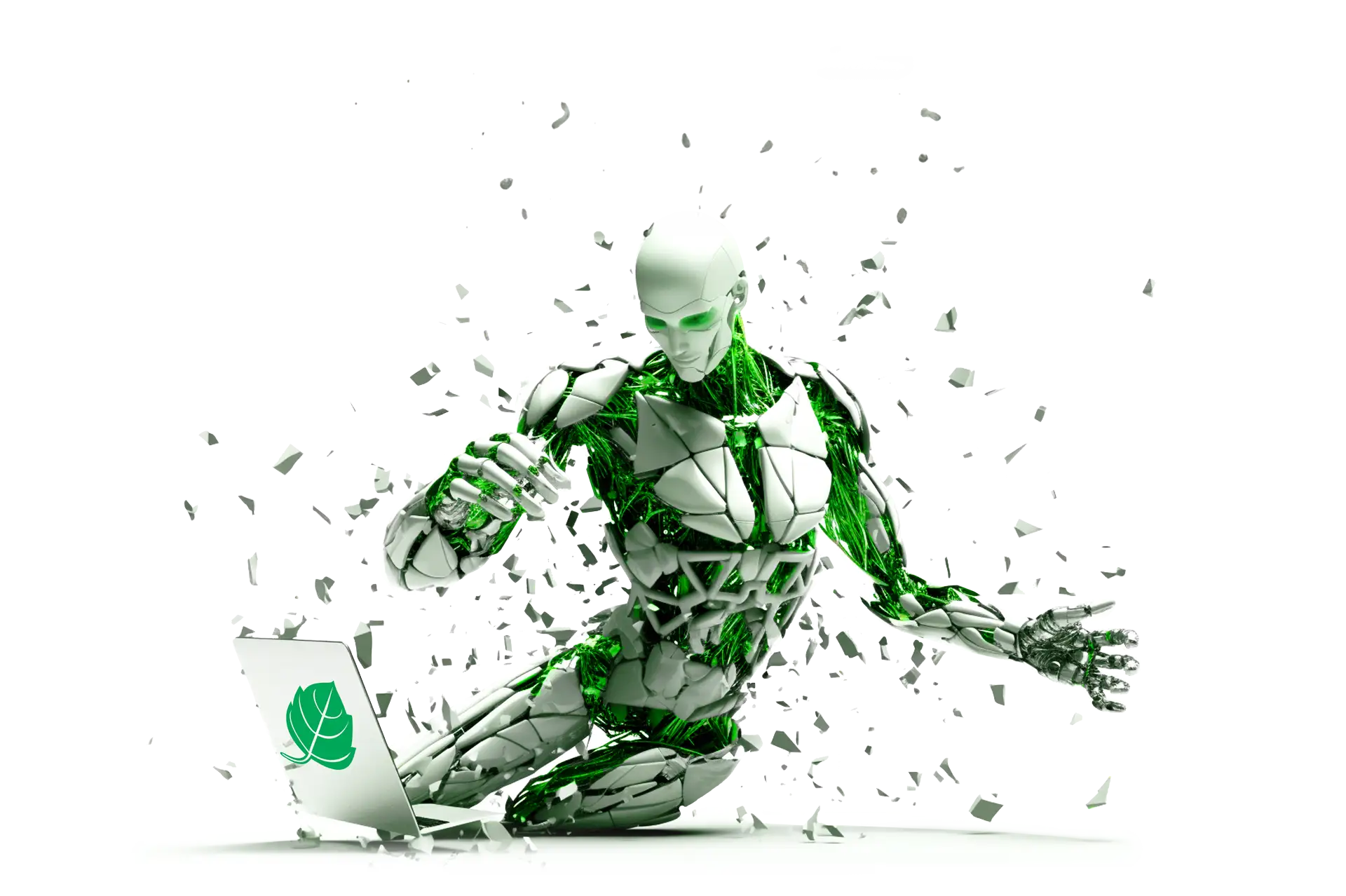 Main Bot 2024 2 1